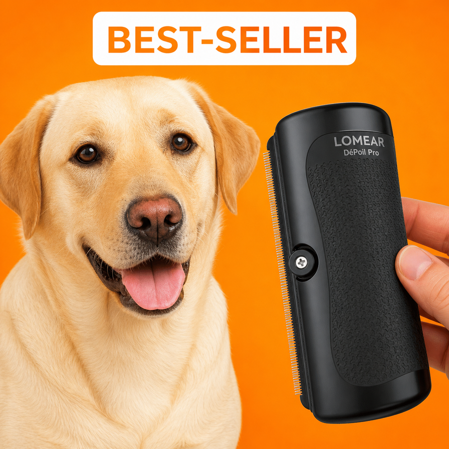 DéPoilPro™ — Brosse anti-mue pour chien et chat
