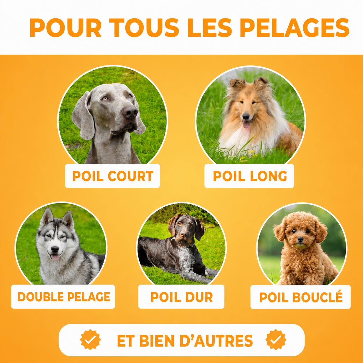 DéPoil Pro utilisée sur un chien à poil long