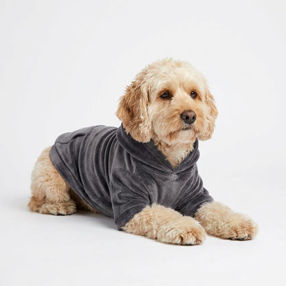 Sweat calmant chien Lomear — compression douce anti-anxiété