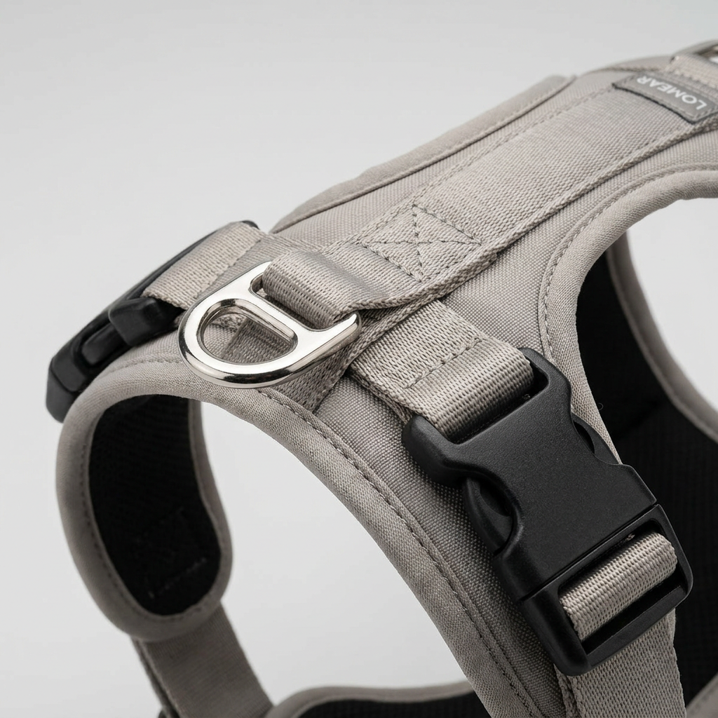 Détail D-ring frontal et boucle dégagement rapide — harnais Lomear ProWalk™