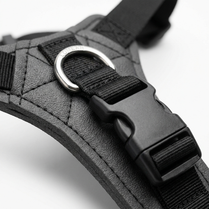 Détail rembourrage EVA et D-ring acier — harnais ProWalk™ Lomear