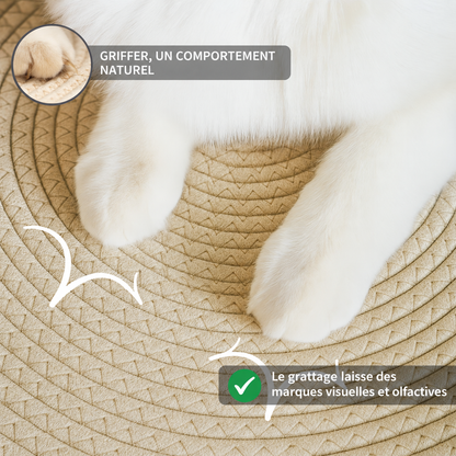 Pattes de chat sur la corde tissée