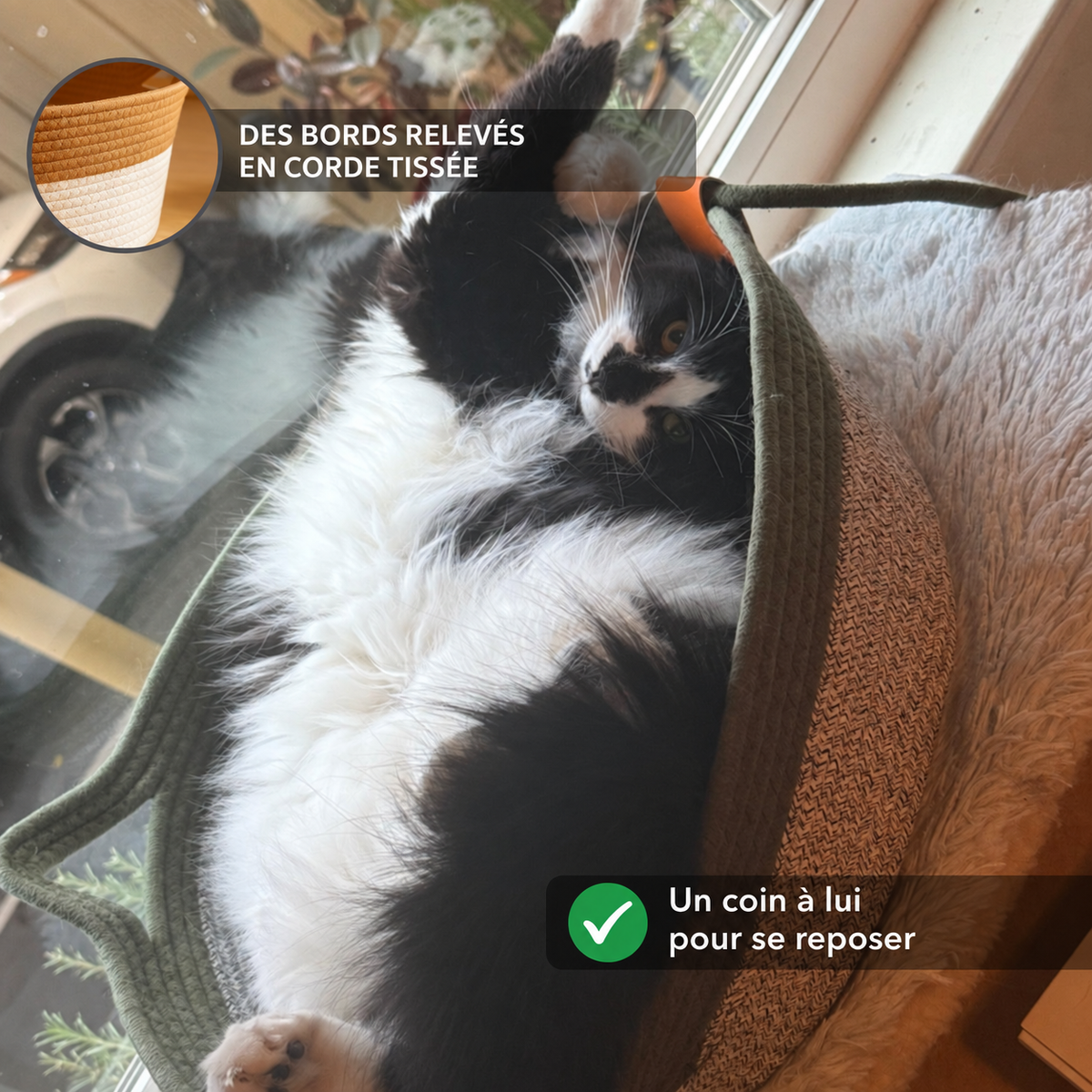 Chat au repos dans un panier vert à bords relevés