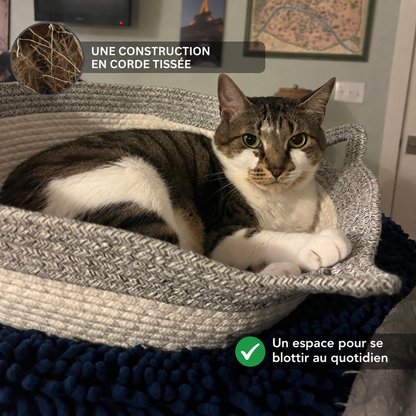 Chat dans un panier gris en corde tissée
