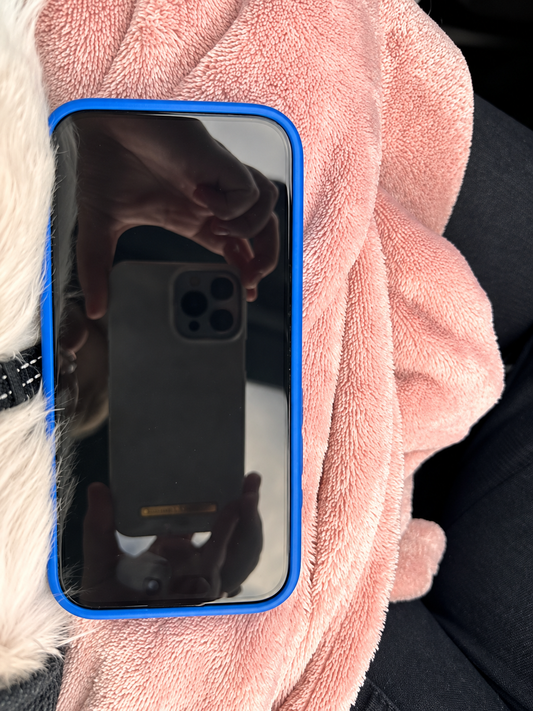 Photographie du témoignage source iGuard, pas un achat LOMEAR