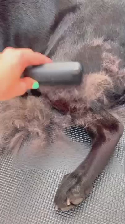 Démonstration de la brosse DéPoilPro sur le sous-poil